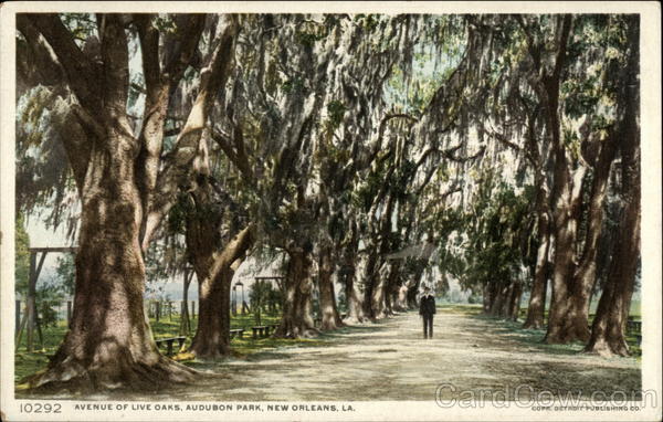 Avenue of Live Oaks, Audubon Park New Orleans Louisiana