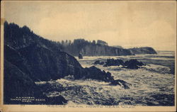 Rocks Near North Head Postcard