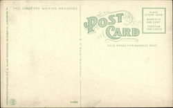 back