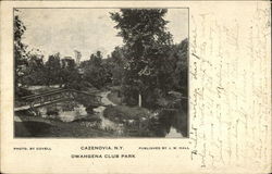 Owahgena Club Park Postcard