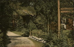 Entrance to Pine Lodge Postcard