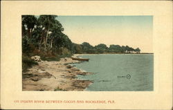 On Indian River Between Cocoa and Rockledge Postcard