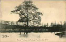 Trout Pool on the Ischua Postcard