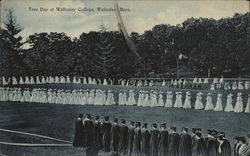 Tree Day at Wellesley College Postcard