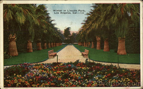 Winter in Lincoln Park Los Angeles California