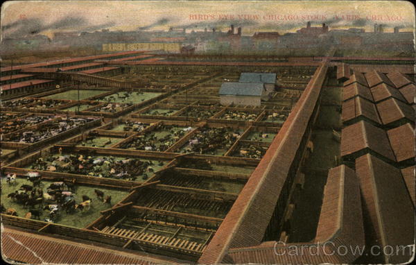 Bird's Eye View, Chicago Stock Yards Illinois