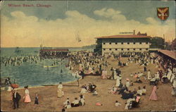 Wilson Beach Postcard