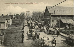 Farmers Delivering Tobacco Springfield, TN Postcard Postcard