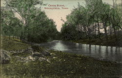 Creek Scene Postcard