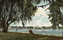 Lake Eola Postcard