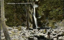 Canyon Scene in Southern California Postcard