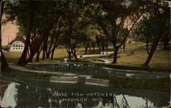 State Fish Hatchery Postcard