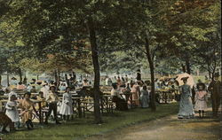 Picnnic Grounds, Elitch Gardens Postcard