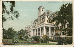 The Royal Poinciana Palm Beach, FL Postcard Postcard