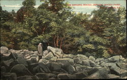 The Ringing Rocks, Ringing Rocks Park Postcard