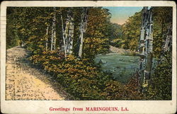 Greetings - View of Country Road and River Postcard