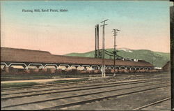 Planing Mill Postcard