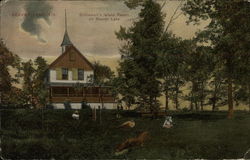 Schliewart's Island Resort on Beaver Lake Postcard