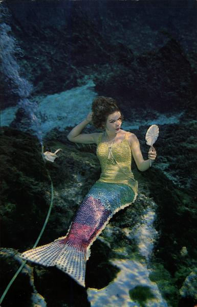 Mermaid Magic of Florida's Famous Weeki Wachee St. Petersburg