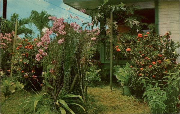 Guamanian's Love Their Gardens South Pacific