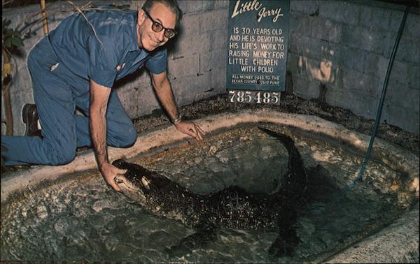 Alligator Gardens Brackenridge Park San Antonio Texas