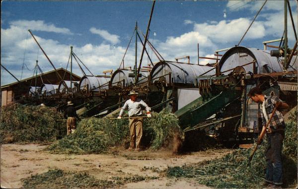 Columbia Basin Irrigation Project Washington