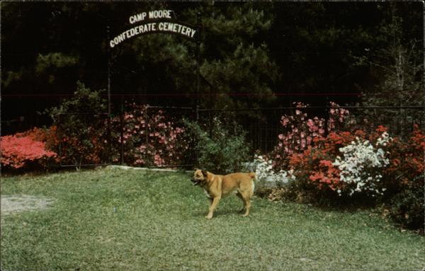 Camp Moore Confederate Cemetery Tangipahoa Louisiana