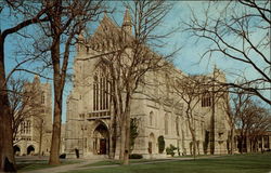 Stock #259206 Thumbnail