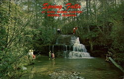 Spring Falls at Rock Bridge Canyon Hodges, AL Postcard Postcard