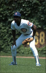 Andre Dawson, 8 Chicago Cubs, Outfield Postcard