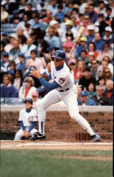 Mark Grace, 17 Chicago Cubs, First Base Postcard