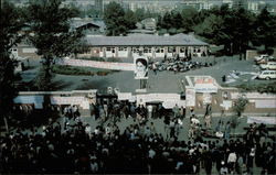 Militant Crowds outside Ameican Embassy Postcard
