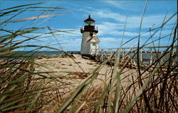 Beach Grass at Brant Point Postcard