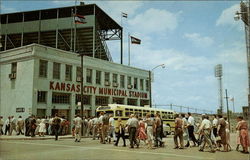 Stock #259646 Thumbnail