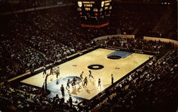 Kemper Arena, "Home of the Kings" Postcard