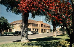 Working Men's Club Mildura, Australia Postcard Postcard