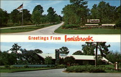 Innisbrook Tarpon Springs, FL Postcard Postcard