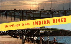 Greetings from Indian River Millsboro, DE Postcard Postcard