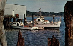 Coast Guard Boats, Cape Disappointment Ilwaco, WA Postcard Postcard