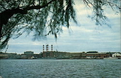 Stock #260179 Thumbnail