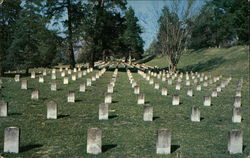 Vicksburg National Cemetery Postcard