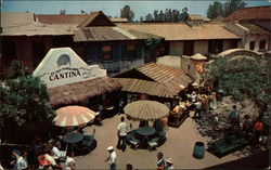 Adventureland's Bazaar Postcard