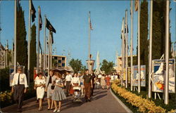 Disneyland The Magic Kingdom Postcard