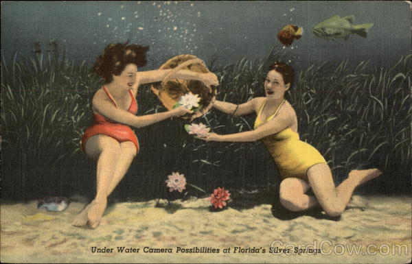 Under Water Camera Possibilities Silver Springs Florida
