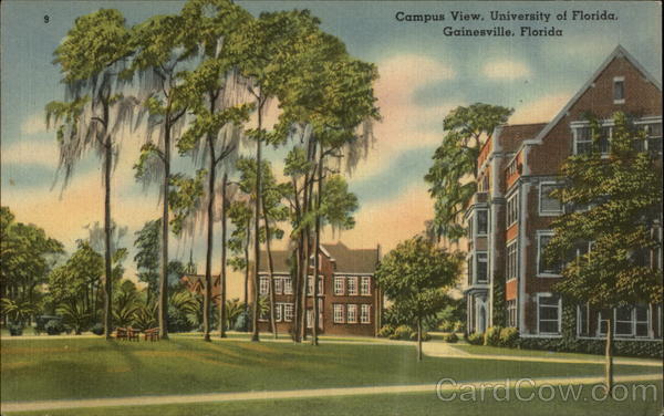 Campus View - University of Florida Gainesville