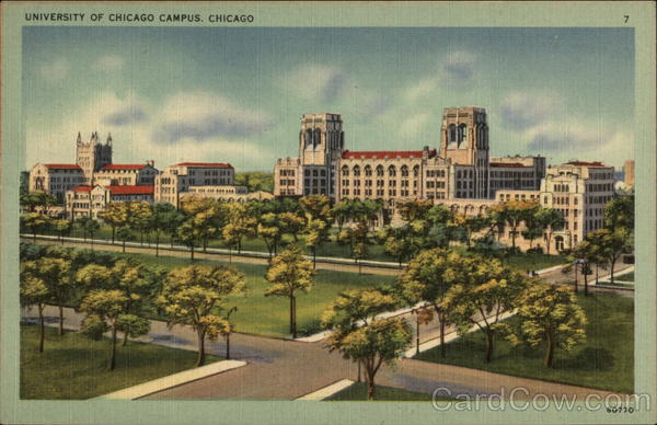 University of Chicago Campus Illinois