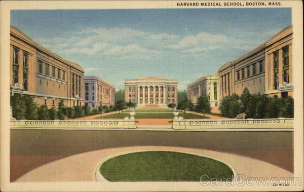 Harvard Medical School Boston Massachusetts