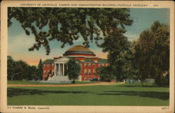 University of Louisville, Campus and Administration Building Kentucky Postcard Postcard