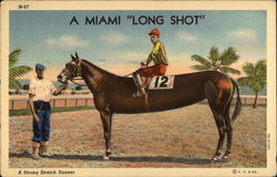 A Miami "Long Shot" Horse Racing Postcard Postcard