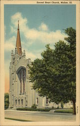 Sacred Heart Church Moline, IL Postcard Postcard